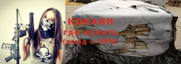 крисы Бронницы