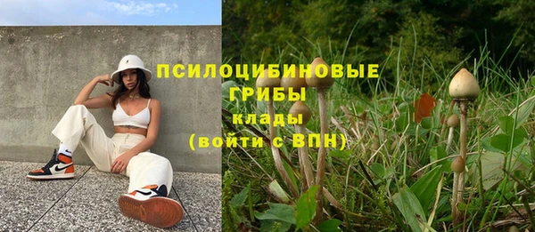 крисы Бронницы