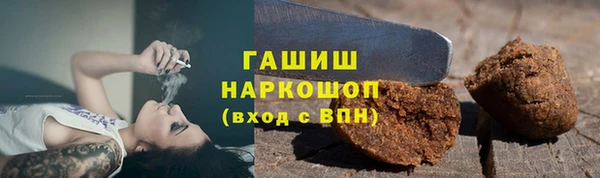 дживик Бородино