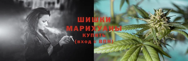 дживик Бородино