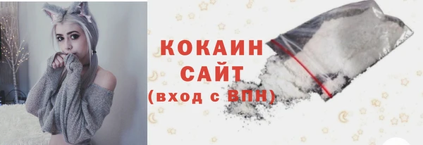 крисы Бронницы