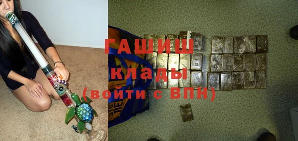 дживик Бородино