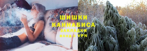 дживик Бородино