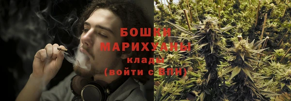 сатива Бугульма