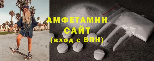 дживик Бородино