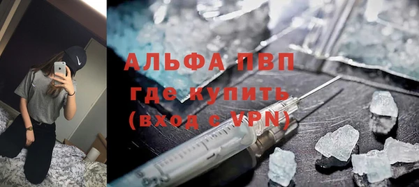дживик Бородино