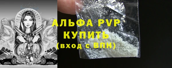 крисы Бронницы