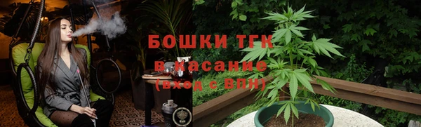 сатива Бугульма